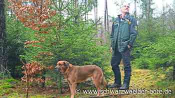 40 Jahre Förster im Gäu: Er hat die Bäume groß werden sehen