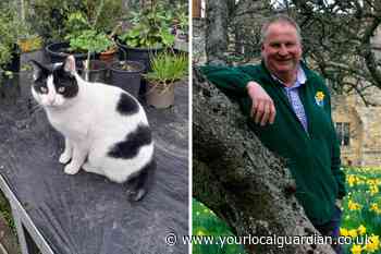 Epsom cat reunited with owners by Croydon charity after six months