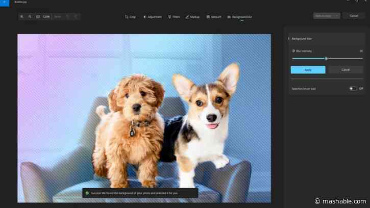 Windows 11 Photos app gets sick new AI feature – macOS users may get envious