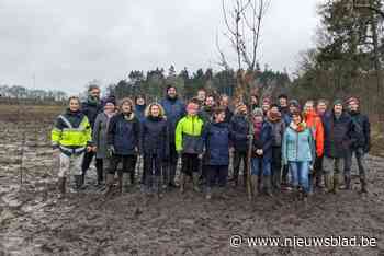 Hospicebossen zijn weer wat groter: “Goed nieuws voor de dun beboste regio”
