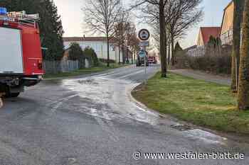 Gülle läuft in Peckelsheim auf die Straße