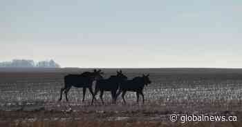 Your Saskatchewan photo of the day: March 2024