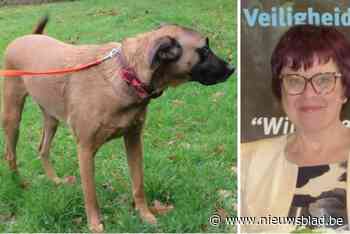 Gemeente zoekt nieuwe uitbater “met portie enthousiasme” voor Dierenopvangcentrum