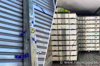 Vechtsportpromotor betrapt met 6,8 ton coke: broers uit Hoboken opgepakt