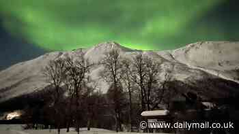 A trip that'll be frozen in my memory forever: I survived -27C chasing the Northern Lights (and here's how to photograph them using only a smartphone)