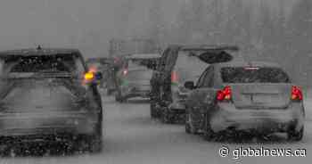 White-out conditions cause multi-vehicle collision on Trans-Canada west of Calgary