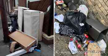 Eight named and shamed for fly tipping after bed, rugs and a Christmas tree dumped in Hull streets
