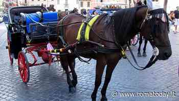 Botticelle trasferite nel galoppatoio di Villa Borghese: l’idea del Campidoglio per liberare l'ex Mattatoio