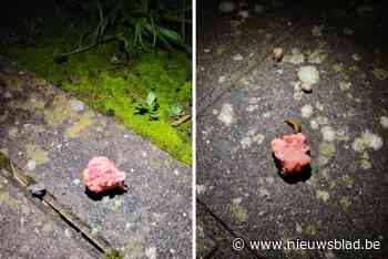 Politie onderzoekt meldingen over vergiftigde balletjes