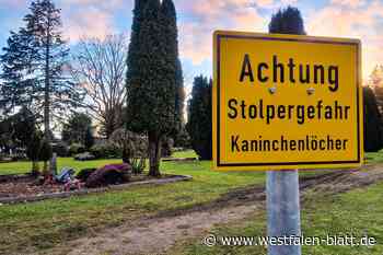 Kaninchenplage auf Bünder Friedhof: Tiere buddeln in Gräbern