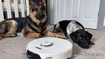 The best robot vacuums for pet hair of 2024: Expert tested and reviewed