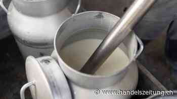Branchenorganisation hebt Milchpreis um 3 Rappen an