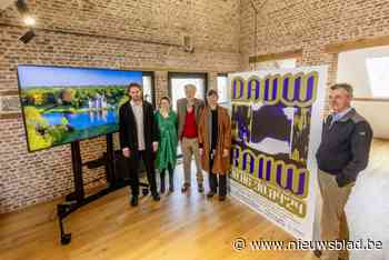 Kunstexpo DauwRauw maakt van het kasteel van Bornem een Bruegeliaans landschap: “Een uniek stukje België in de kijker zetten”