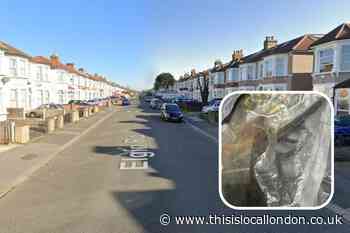 Barking stop and search reveals weapons and drugs in Ilford