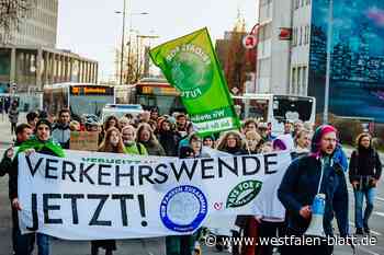 Fridays for Future: Aktivisten solidarisieren sich mit Busfahrern