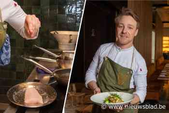 Chef haalt grijze garnalen van de kaart en promoot gerecht met wijting: “Want dat is de vis die onze garnalen opeet”