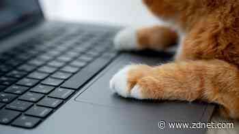 Microsoft unveils Copilot Lab to help users get the most out of its AI assistant