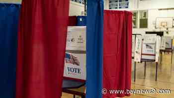 Experts raise alarm about AI's possible impact on November's election