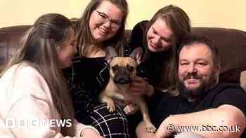 Family reunited with stolen dog after three years