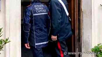 Insetti e sporcizia tra frutta e verdura. Chiusi due minimarket