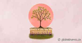 Life beyond death: Digging deep into the growing trend of green burials