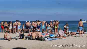 Spending spring break in Broward County? Here's what to know