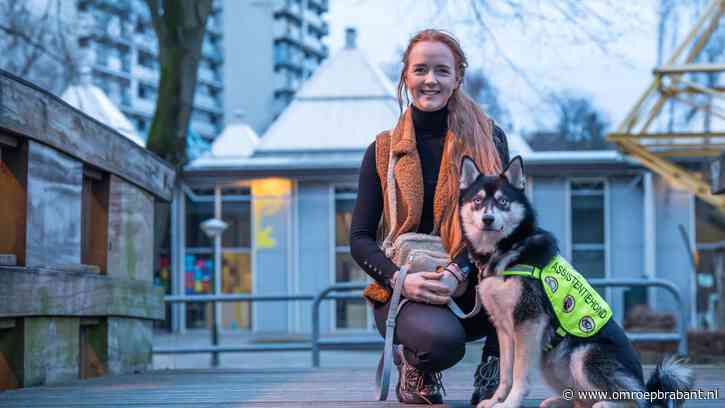 Presley is de eerste 'husky' die opgeleid wordt tot hulphond