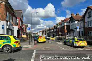 Babington Road Streatham incident: Emergency services presence