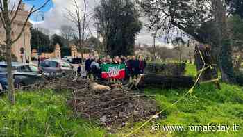 L'assessora regionale denuncia "il degrado di Villa Borghese" e attacca Gualtieri