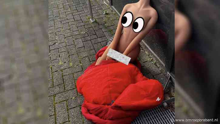 'Onthoofding' in Goirle blijkt loos alarm, wijkagenten vinden sekspop