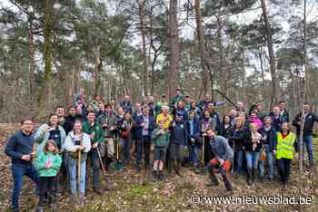 Lions planten 1.200 bomen op Galgbergen in Mol: “We willen biodiversiteit stimuleren”