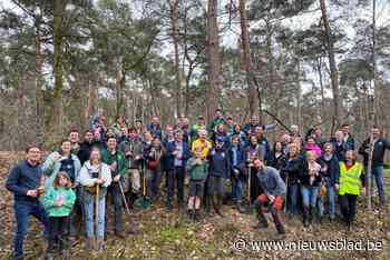 Leden van Lions Zone Kempen planten 1.200 bomen op Galbergen in Mol: “We willen biodiversiteit stimuleren”