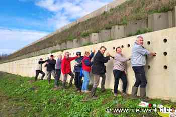 Grootste nestwand in Europa is klaar voor broedende vogels: “De oeverzwaluwen storen zich niet aan het lawaai”