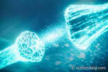 New Findings Shed “Literal Light” on a Decades-Long Mystery About How Photoreceptors Work