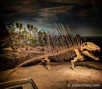 Dawn of the Apex Predator:  How Ancient Carnivores Evolved To Dominate Land