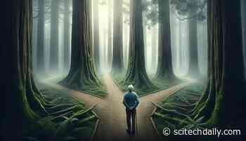 Scientists Reveal That Nearly All Older Americans Follow One of Nine Trajectories in Their Last Three Years of Life