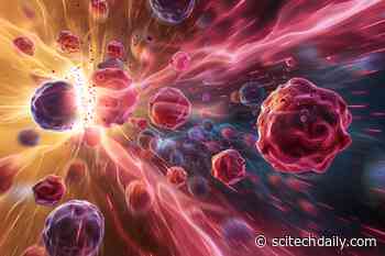 Innovative Cancer Treatment Uses Ultrasound-Activated Drugs for Targeting