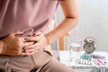 New Study Finds 5 Healthy Behaviors Linked to Lower IBS Risk