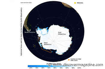 Loss of Sea Ice in Antarctica Is "Nothing Short of Shocking"