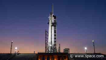 SpaceX delays Crew-8 astronaut launch for NASA due to high winds, next try on March 3