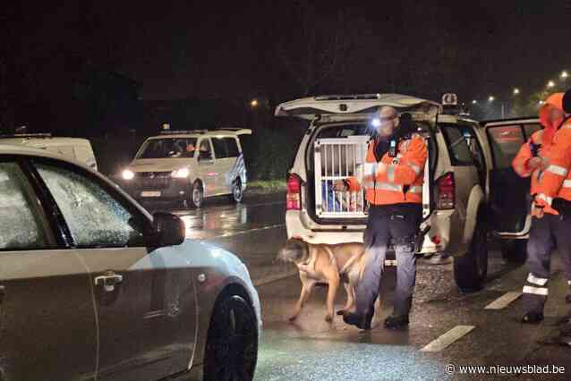 Politie houdt grote verkeersactie met drugshond: meer bestuurders betrapt onder invloed van drugs dan alcohol