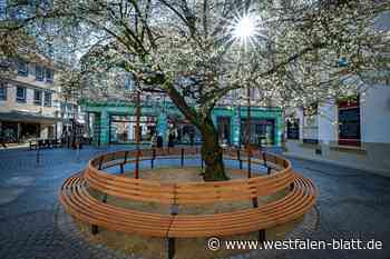 So haben die Bielefelder den ersten Hauch von Frühling genossen