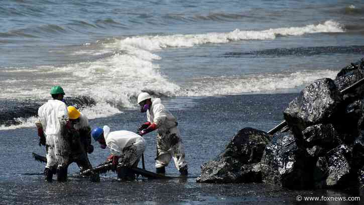 Dutch forces deployed to Caribbean territory hit by major oil spill