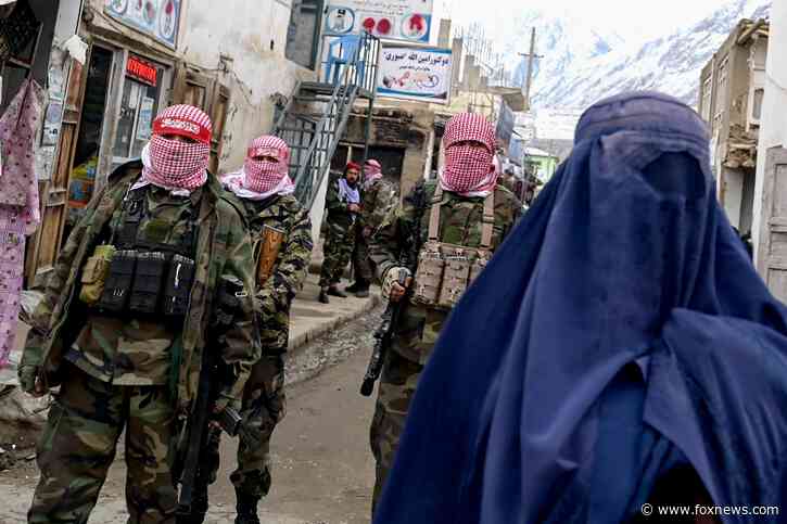 Taliban publicly execute three people in five days as means of intimidation: 'their version of Sharia law'