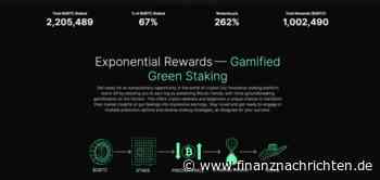 Bitcoin News: Größter BTC Bull-Run aller Zeiten?