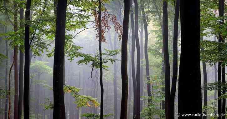 Projekt Biosphärenregion Spessart nimmt Fahrt auf