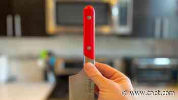 The 8 Best Chef's Knives for 2024, Tested and Reviewed     - CNET