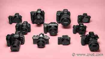 Best Camera to Buy in 2024     - CNET