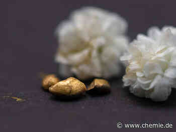 Aus Abfall wird Gold