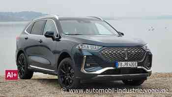 GWM Wey 03 – Reichweiten-Genie mit kleinen Schwächen